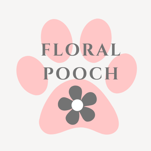 Floral Pooch